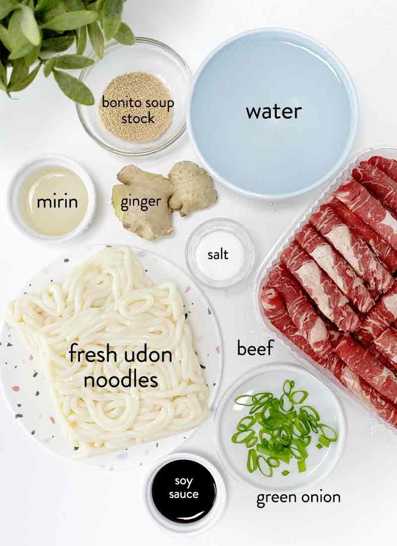 ingredients for beef udon on a white table