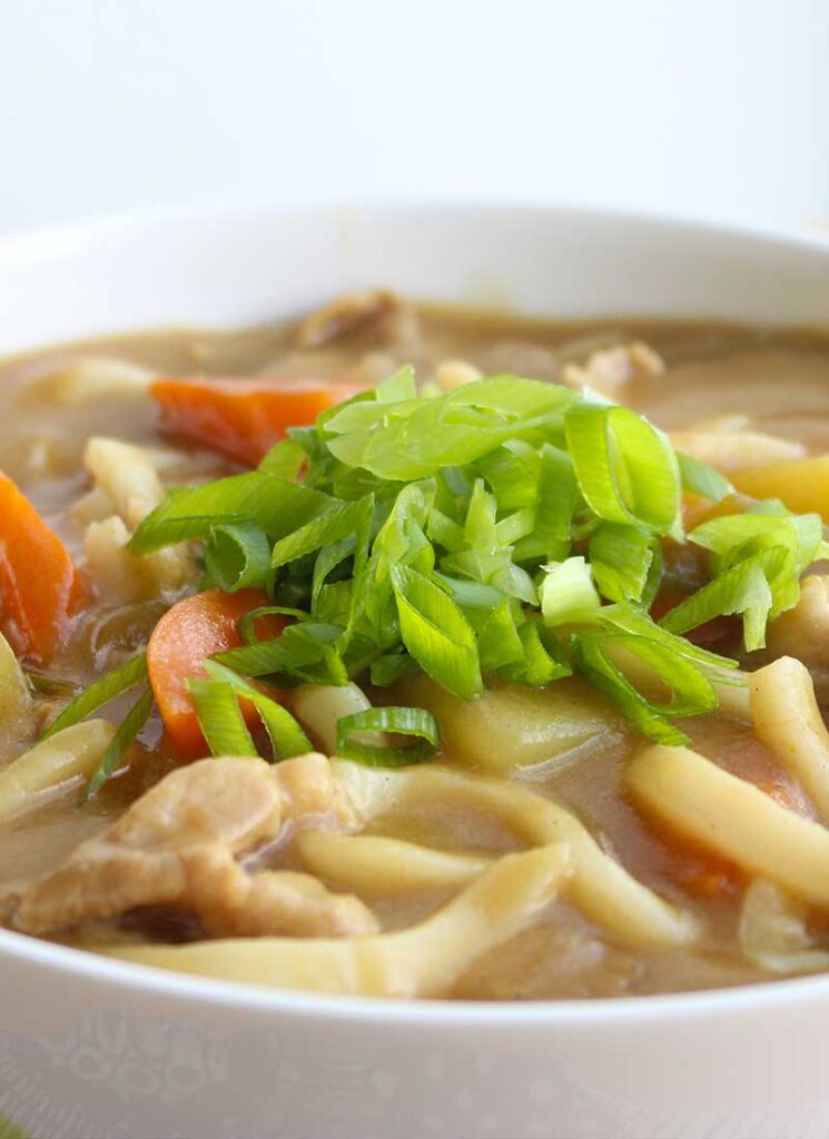 A close up of a bowl of Japanese curry udon.