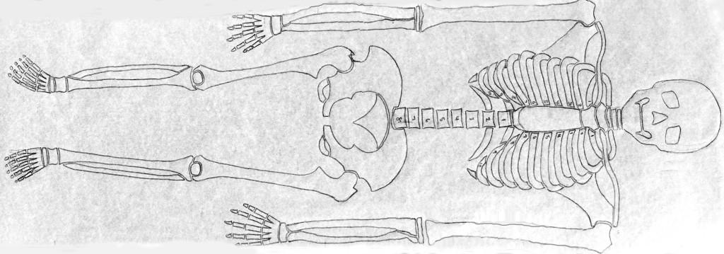 skeleton template