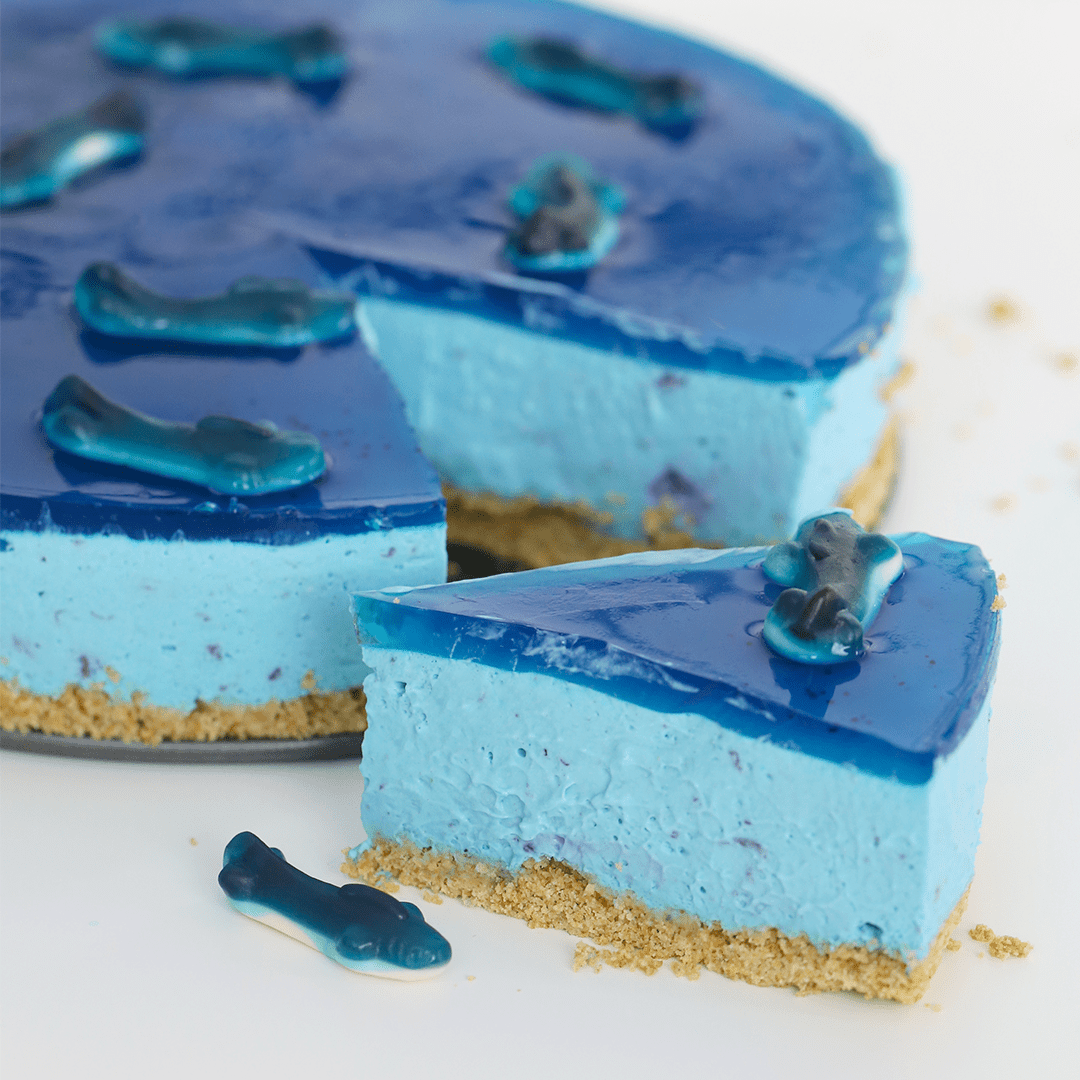 Shark Pool No-Bake Cheesecake - Pankobunny