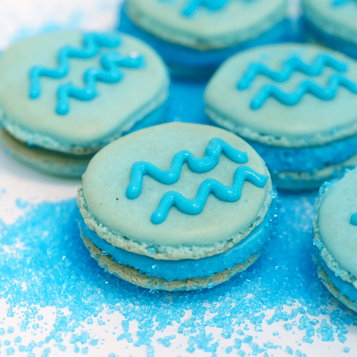Aquarius Macarons - Pankobunny