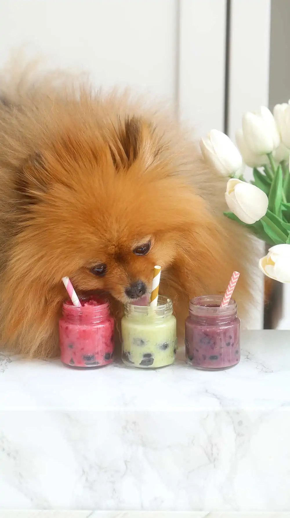 Boba Tea image Pup Approved Dog Treats cookbook