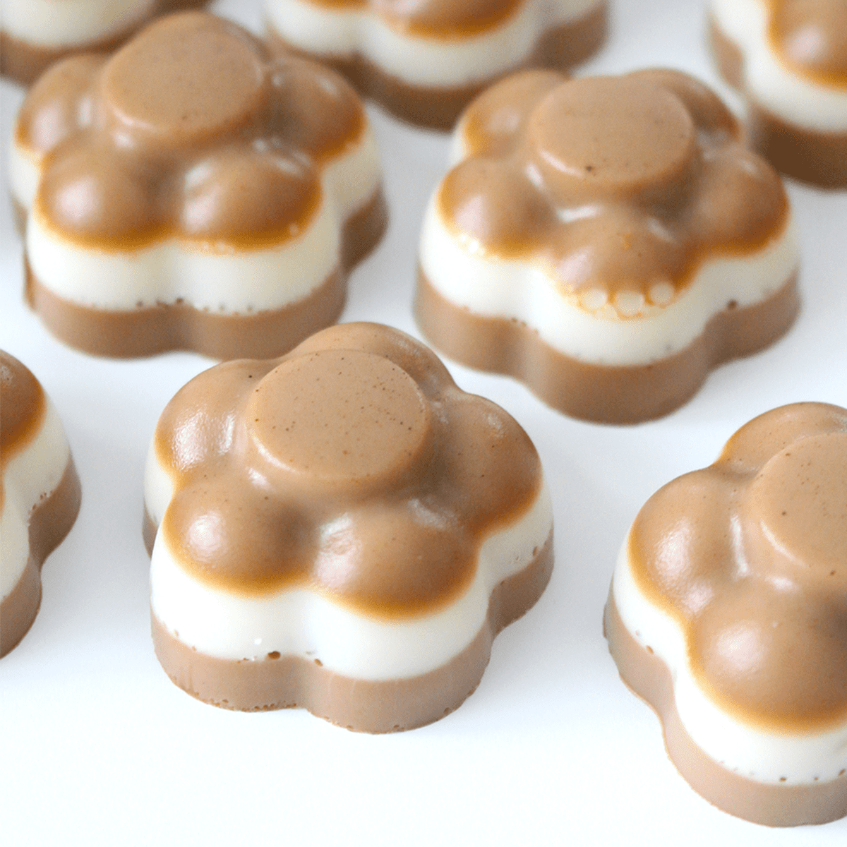 Coffee Gummies Pankobunny