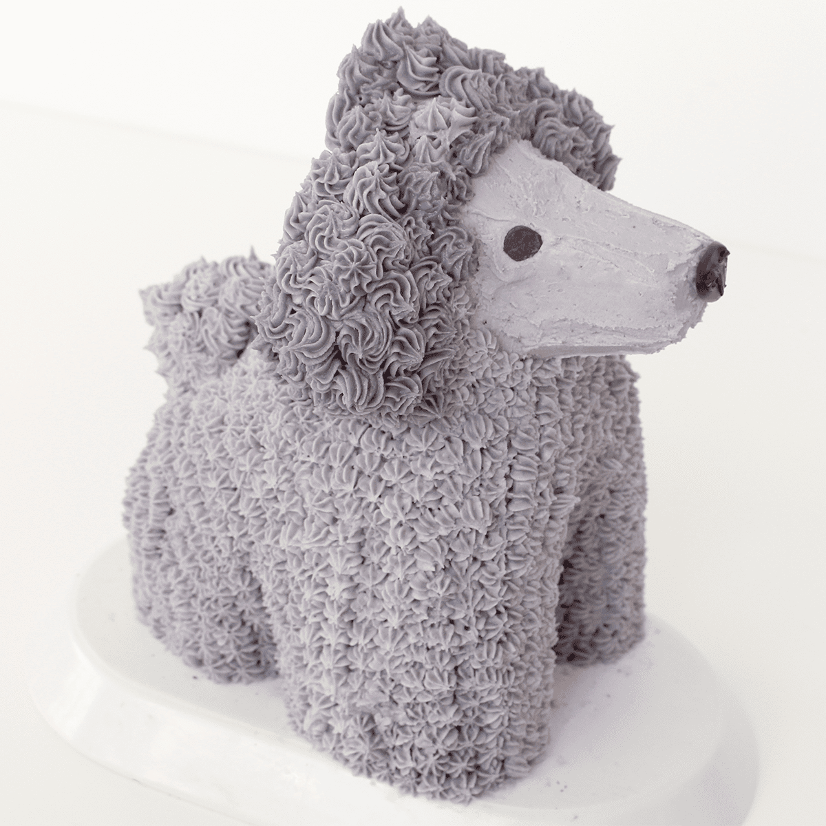 Cooking with Dog Francis Cake - Pankobunny