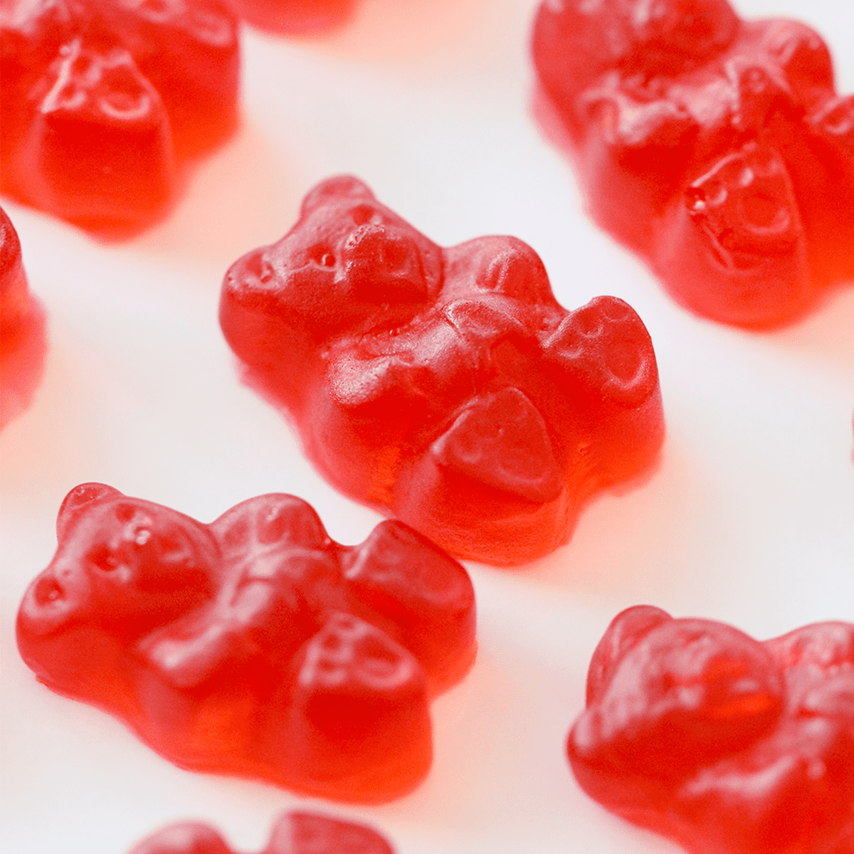 Cranberry Gummy Bears - Pankobunny