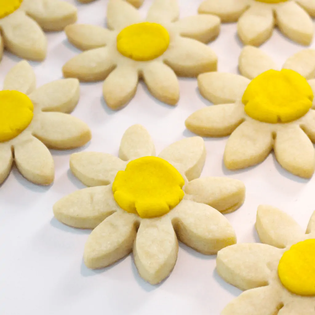 Daisy Shortbread Cookies 1200