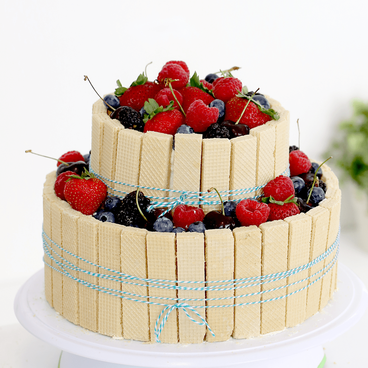 Fruit Basket Cake Pankobunny