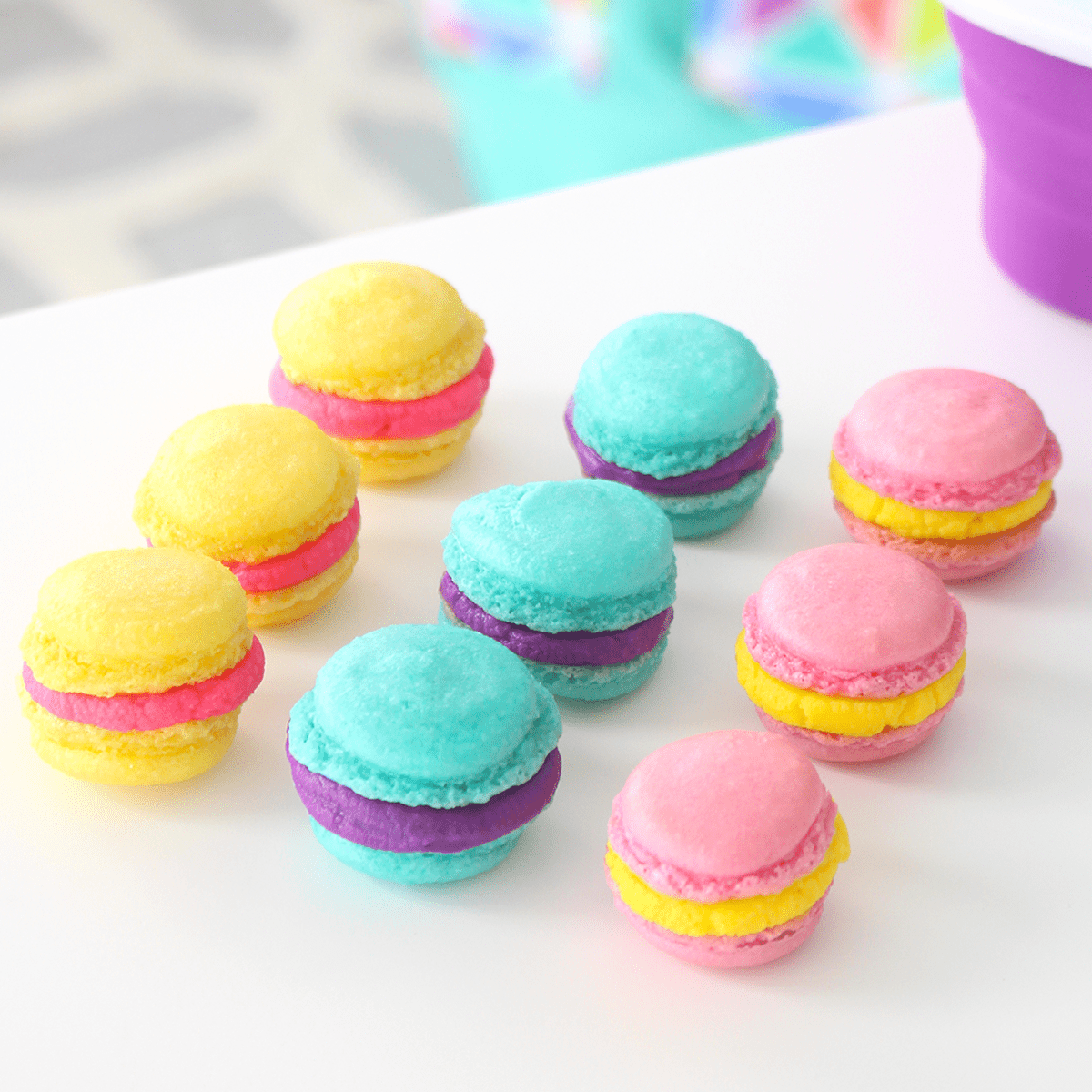 Macarons - Pankobunny