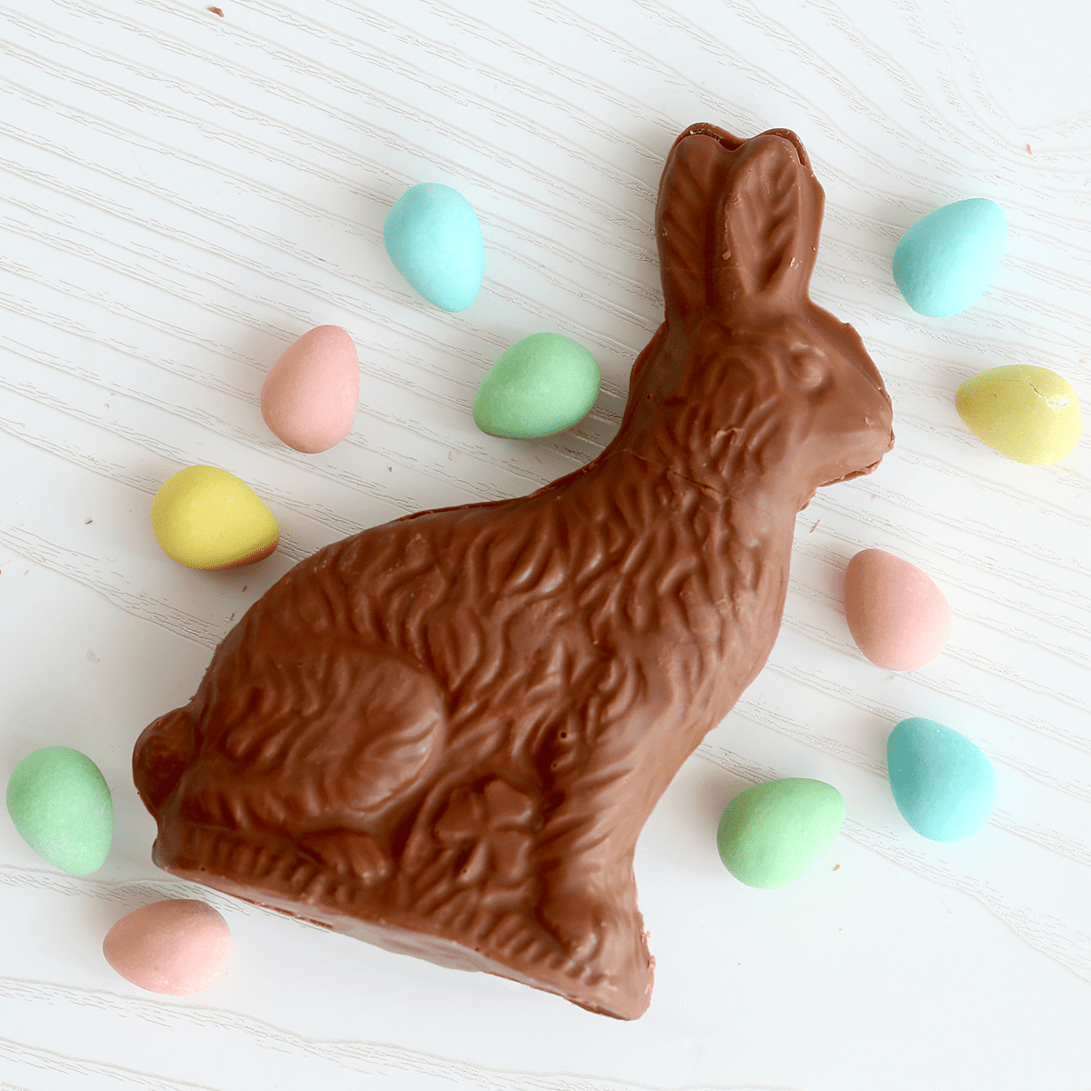 3D Chocolate Rabbit Pankobunny