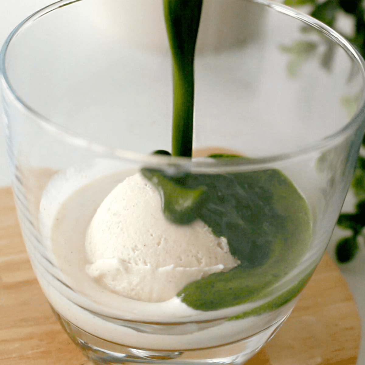 Matcha Green Tea Affogato Pankobunny