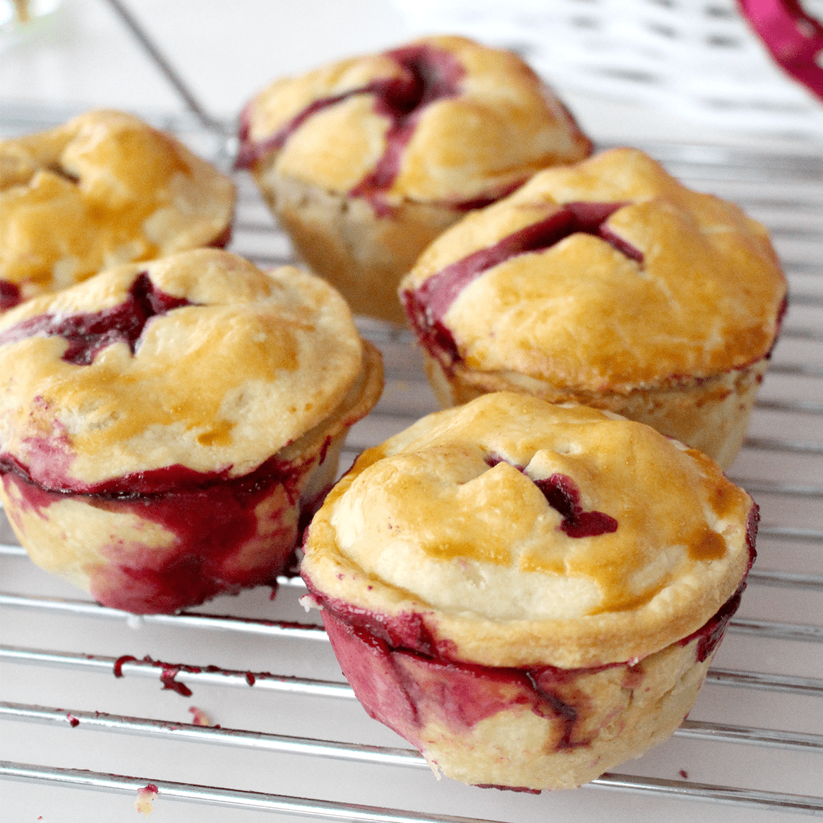Mini Blueberry Pies - Pankobunny