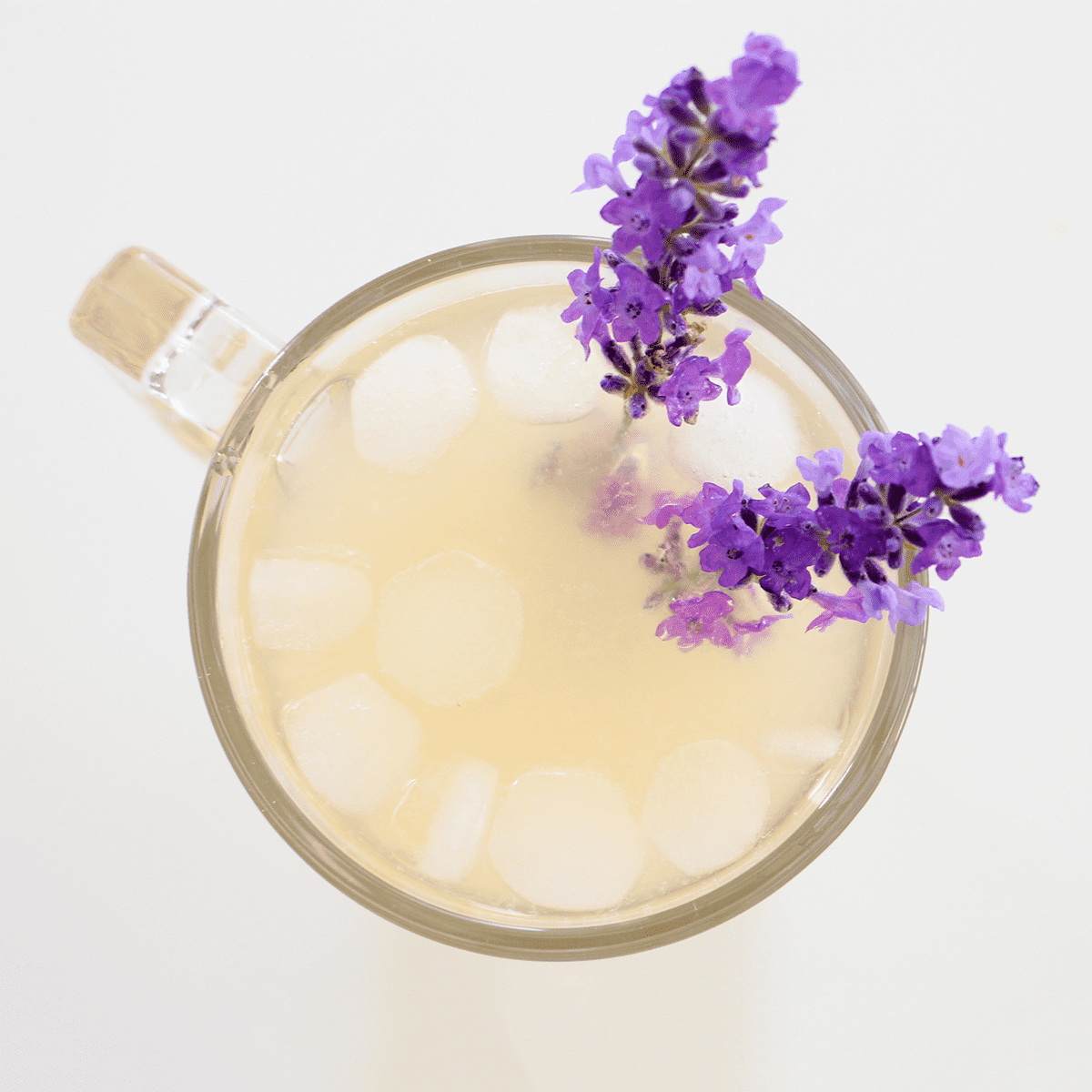 Sparkling Lavender Lemonade - Pankobunny