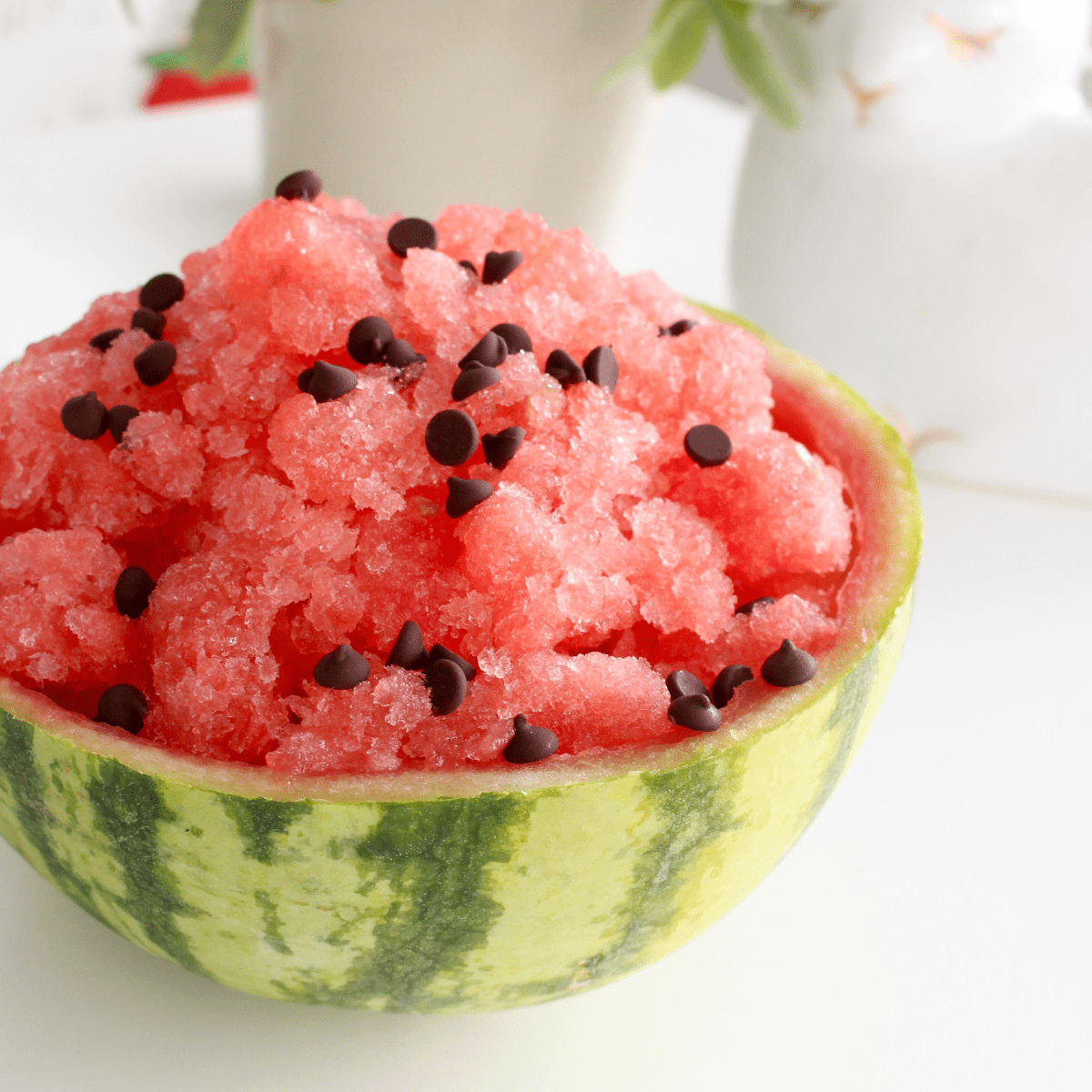Watermelon “Shaved Ice” Pankobunny