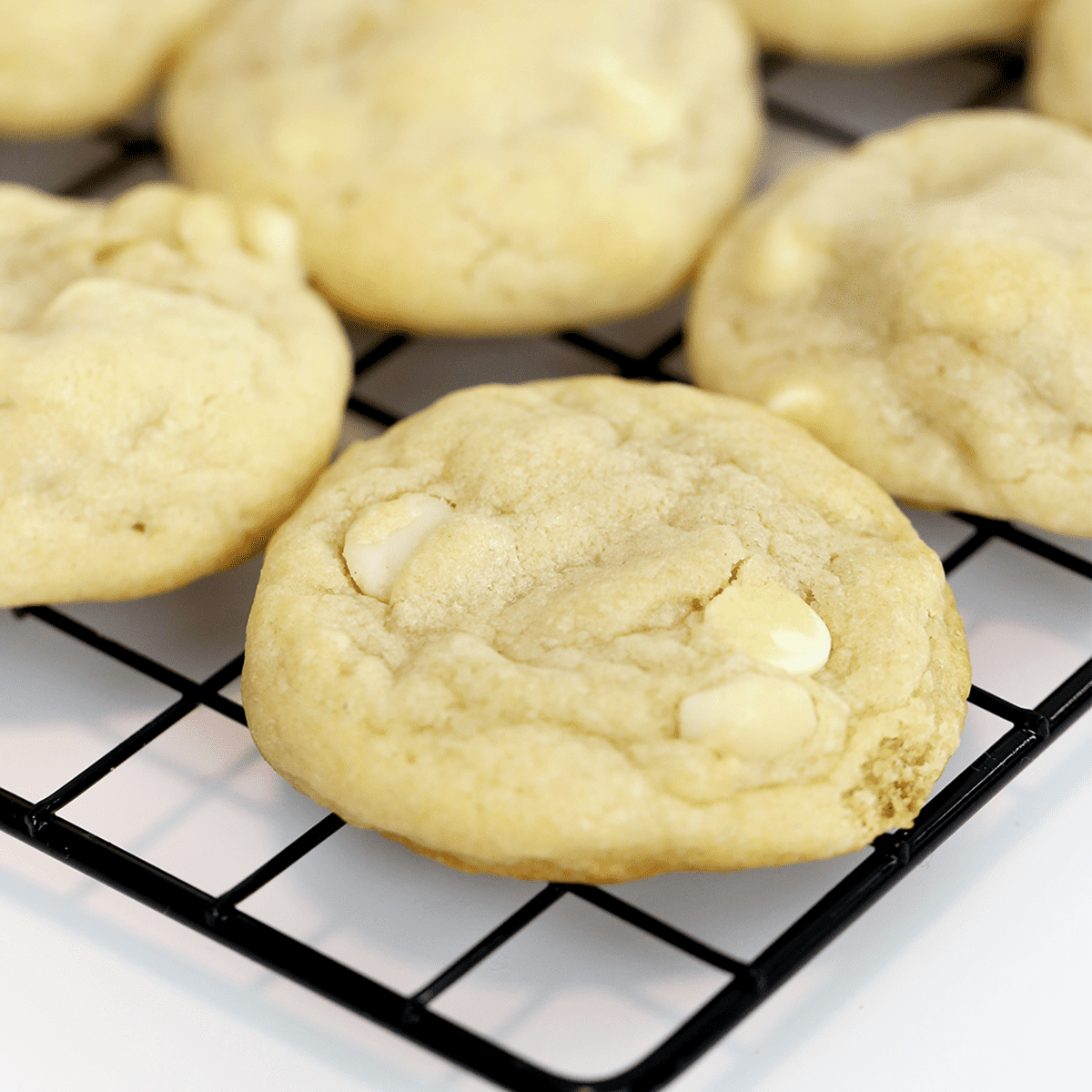 White Chocolate Macadamia Nut Cookies - Pankobunny