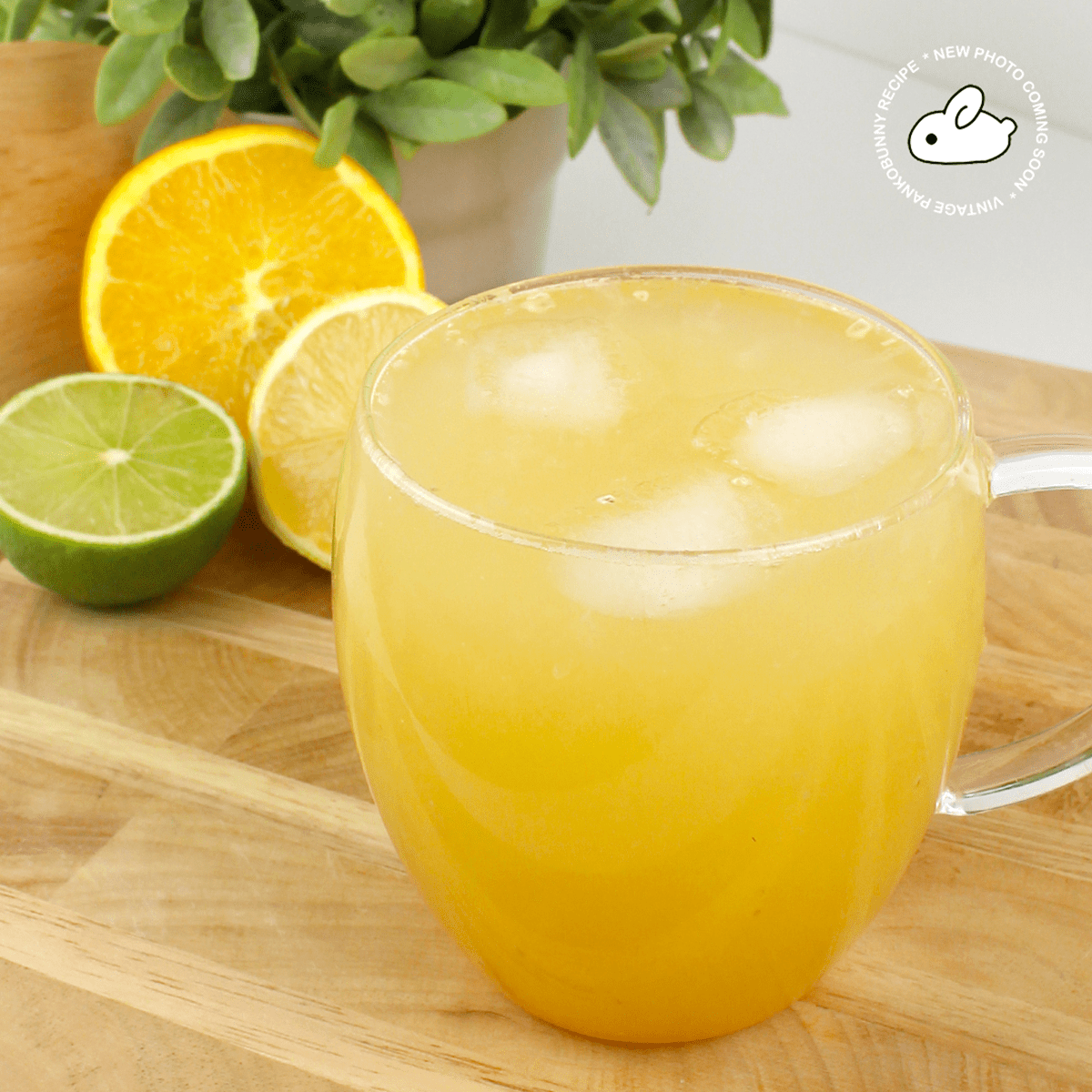 Yummy Citrus Detox Juice Pankobunny