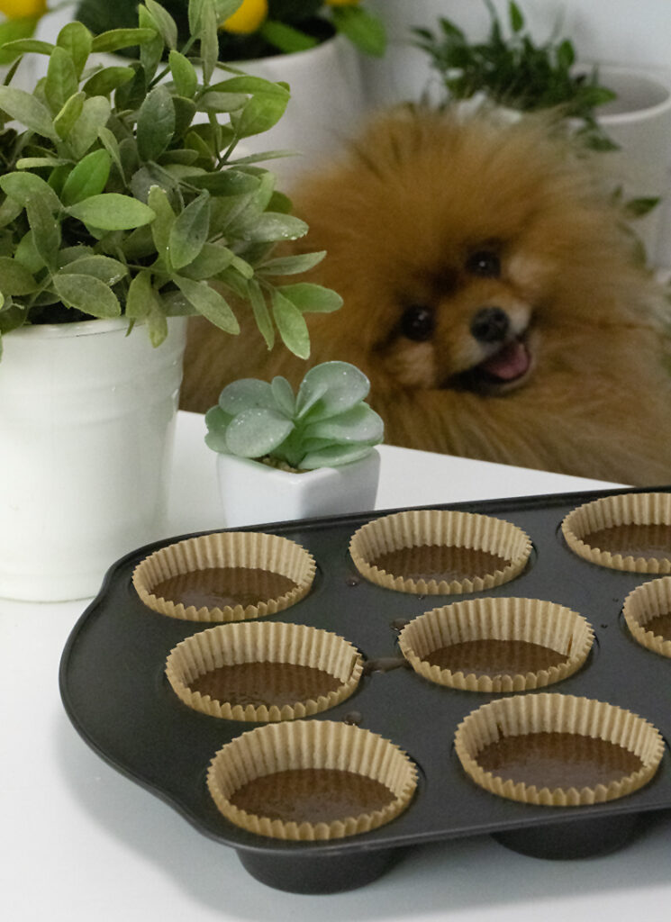 chocolate cupcakes ready to be baked