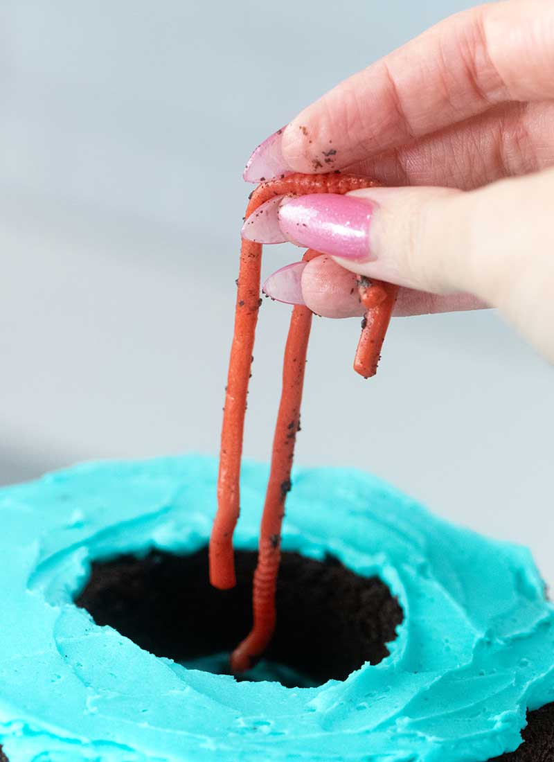 fill cake with worms