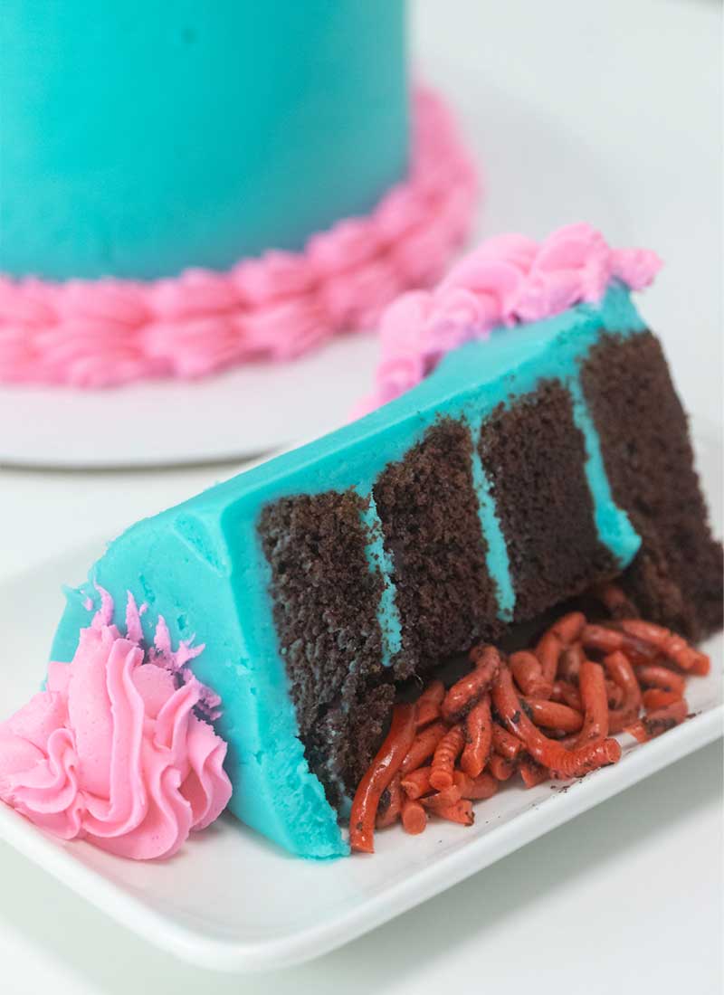 worm birthday cake