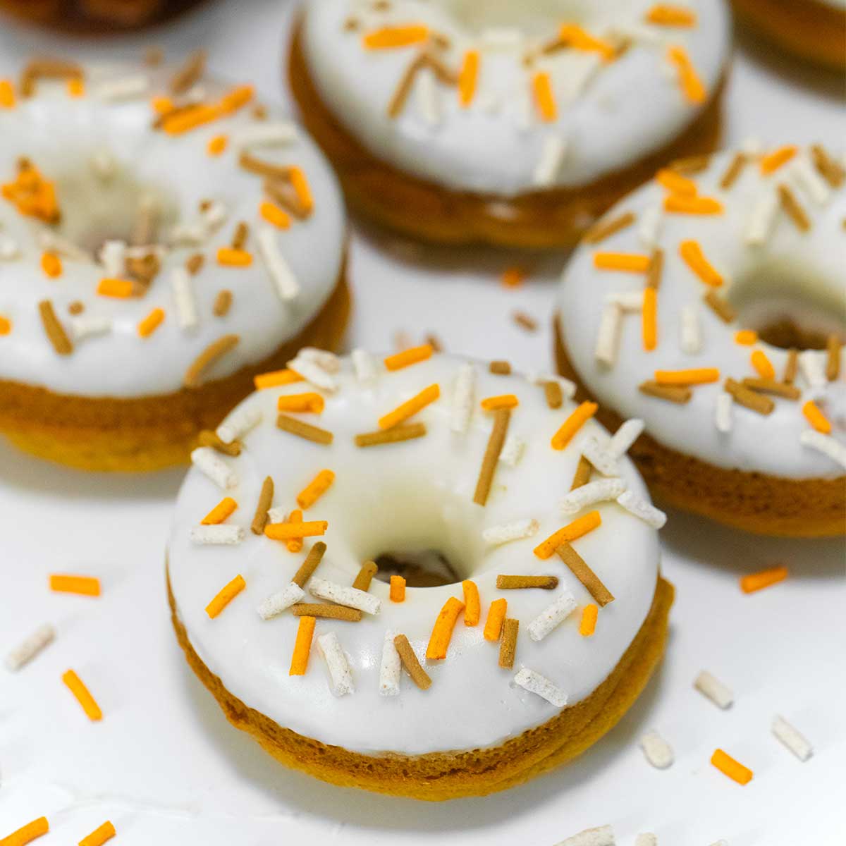Pumpkin Spice Doughnuts - Pankobunny