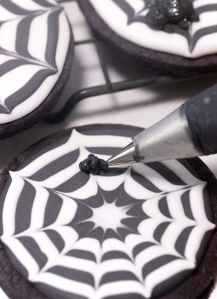 A tiny amount of black icing is being piped onto a spider web sugar cookie.